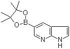 7-Azaindole-5-boronic acid pinacol ester/754214-56-7/
