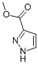 Methyl 1H-pyrazole-3-carboxylate/15366-34-4/