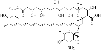 Amphotericin B/1397-89-3/涓ゆч绱 B
