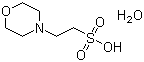 MES monohydrate/145224-94-8/