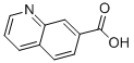 7-Quinolinecarboxylic acid/1078-30-4/