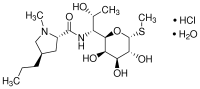 Lincomycin Hydrochloride Monohydrate/7179-49-9/告绱
