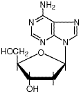 2-Deoxyadenosine Monohydrate/16373-93-6/