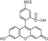 Fluorescein Isothiocyanate(isomer I)/3326-32-7/寮纭鞍歌у浣
