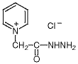 (1-Pyridinio)acetohydrazide Chloride/1126-58-5/