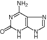 Isoguanine/3373-53-3/