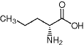 D-Norvaline/2013-12-9/